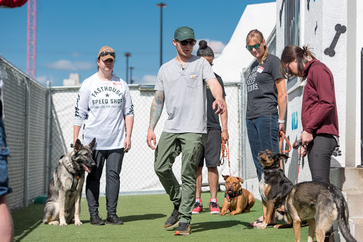 american canine academy news